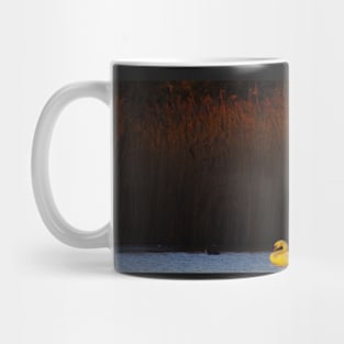 SWAN SUNRISE Mug